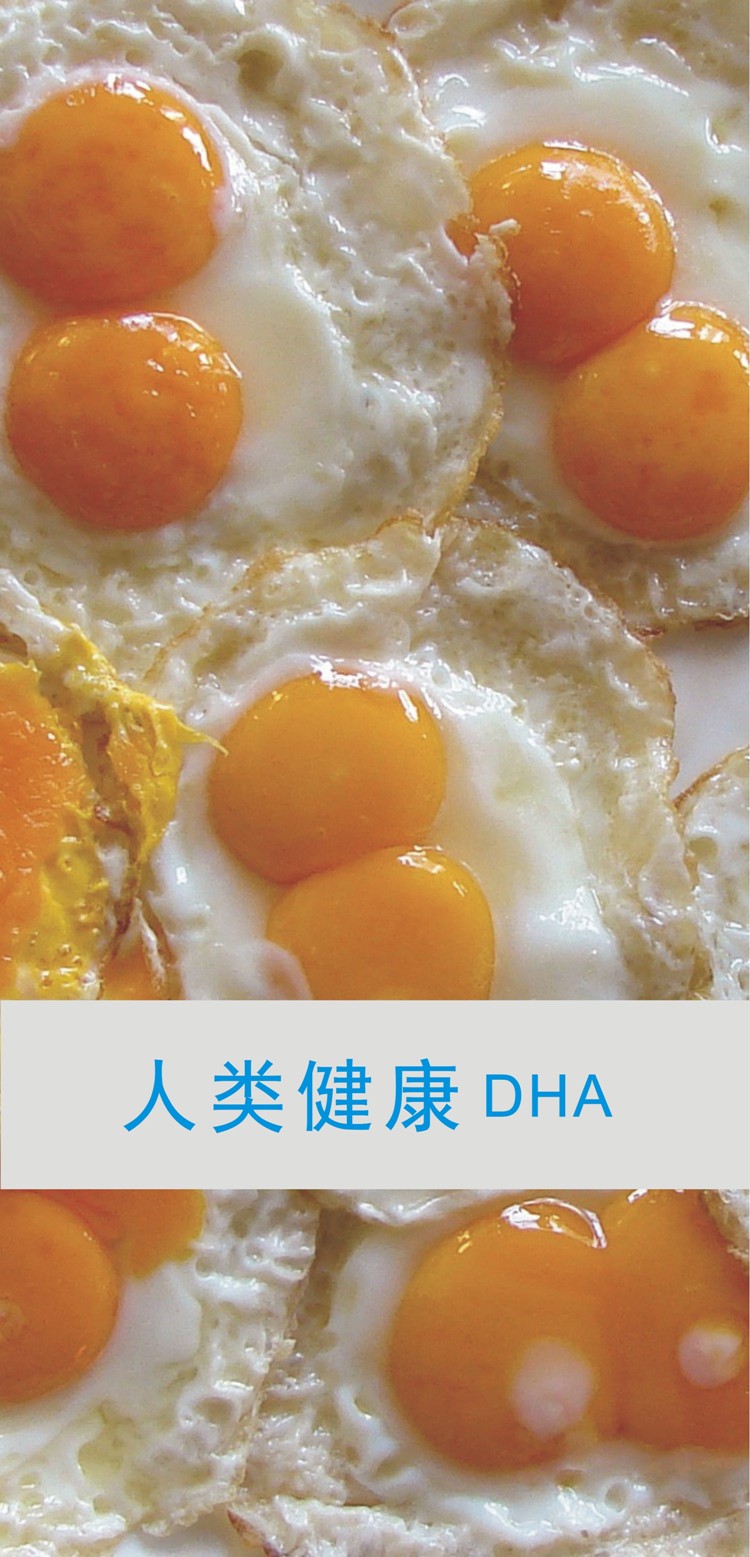 至真·至诚·至圣