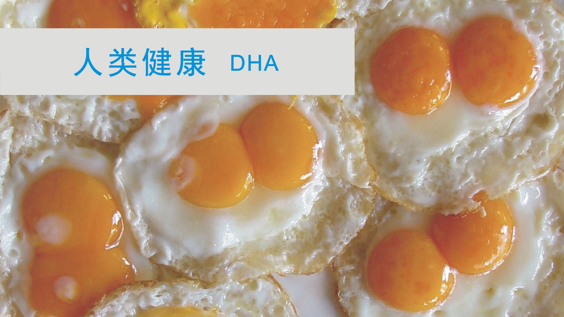 鸡蛋