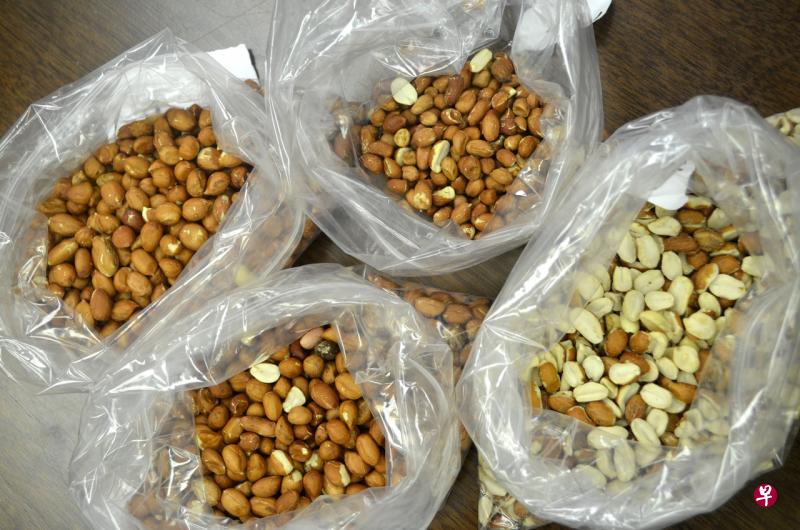 新研究：补充特定肠道细菌能治疗食物过敏