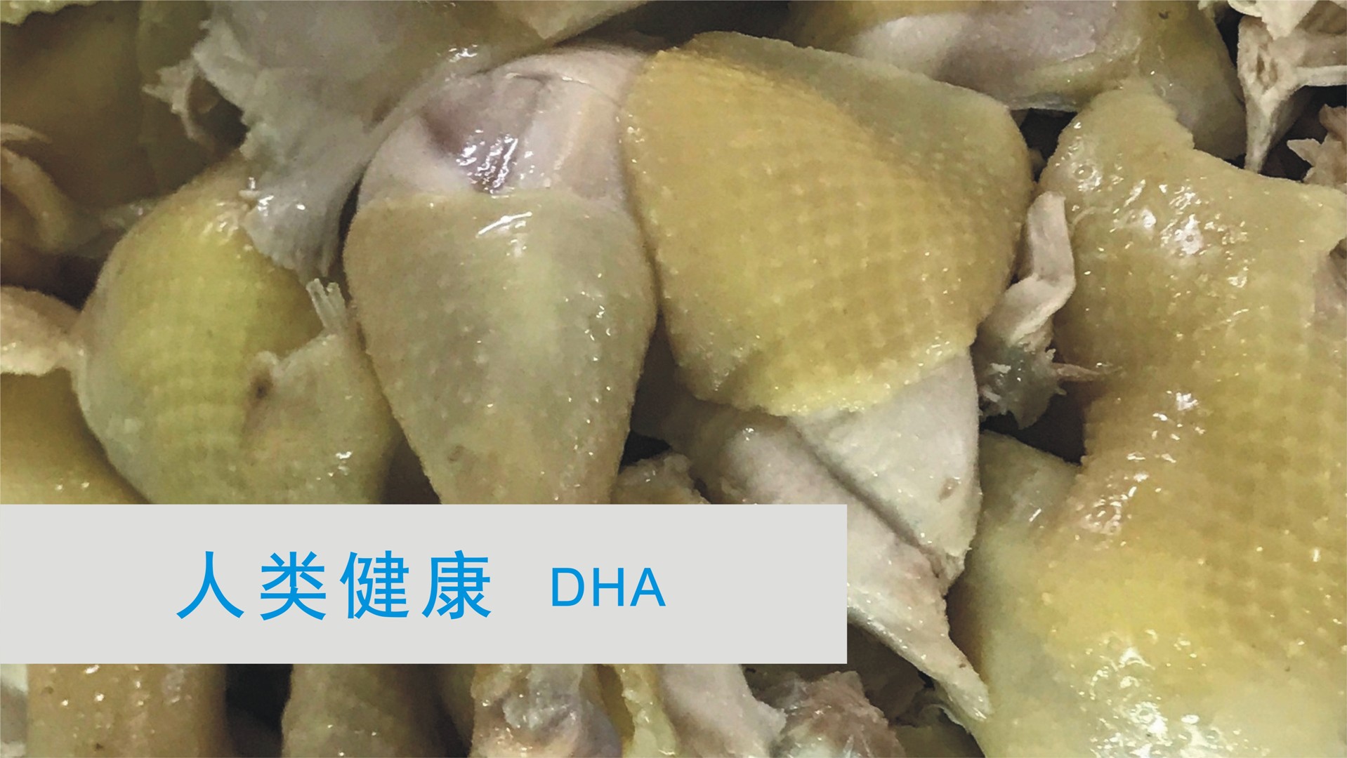 轮动6